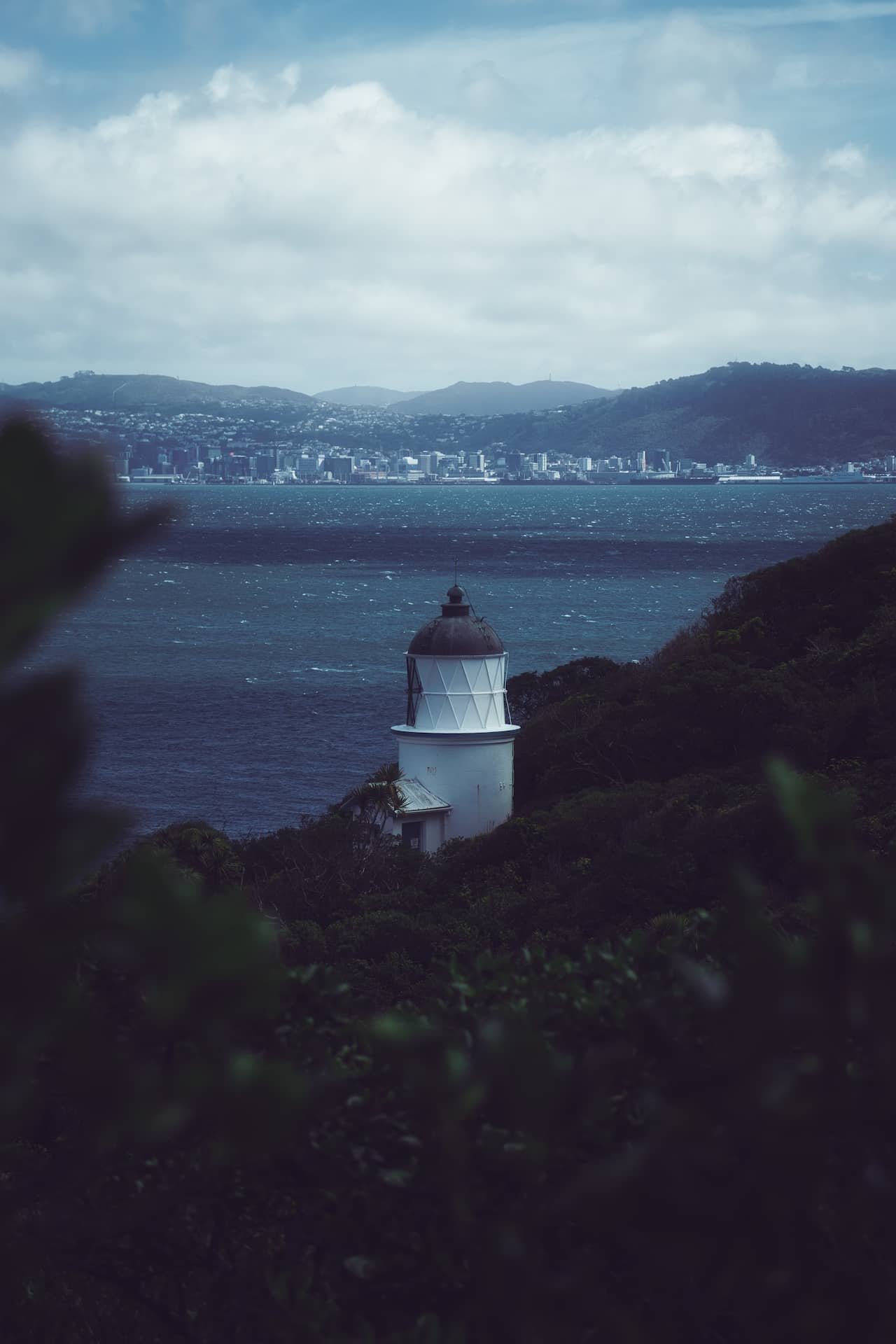 Photo of the lighthouse on Somes Island, with Wellington in the background.